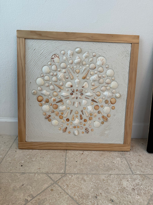 Shell Art- Light Frame