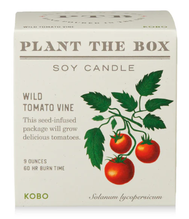 Wild Tomato Vine Plant the Box Candle- KOBO