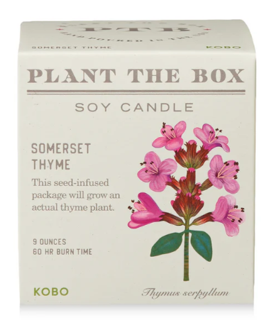 Somerset Thyme Plant the Box Candle- KOBO